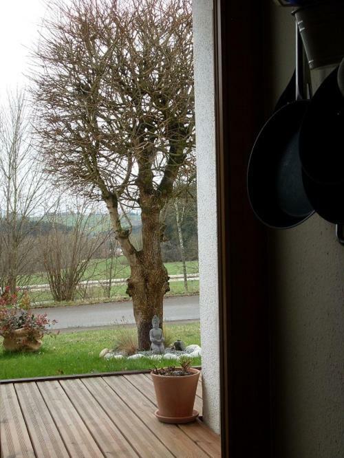 Silvi Apartment Herdwangen-Schonach Bagian luar foto